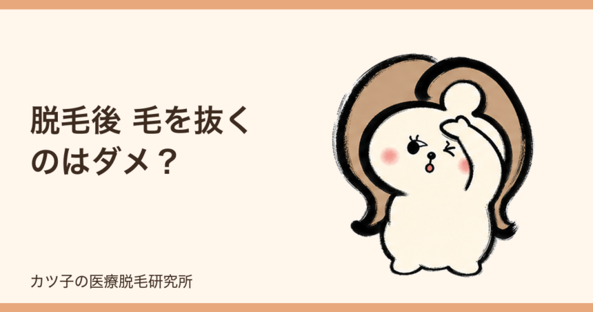 脱毛後 毛を抜くのはダメ？するっと抜ける毛と引っ張ってはいけない毛の違い