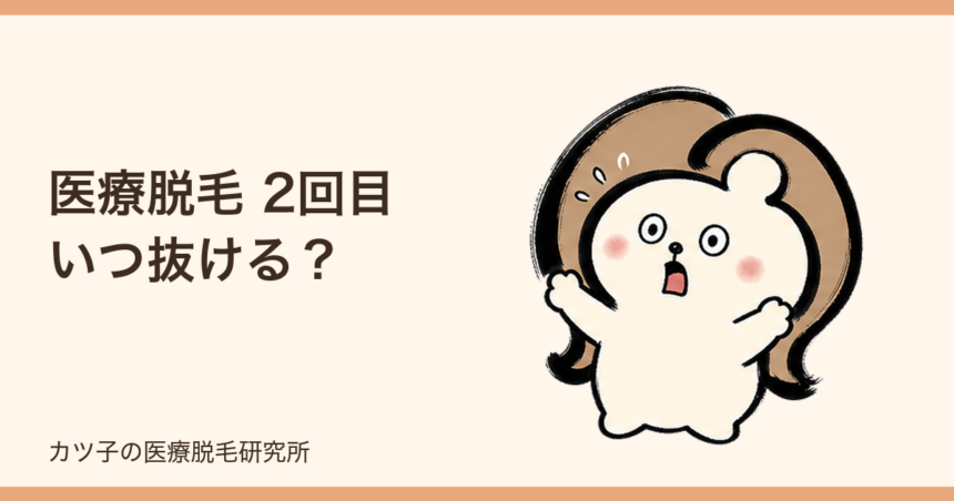 医療脱毛 2回目 いつ抜ける？目安の時期と抜けないときの確認ポイント